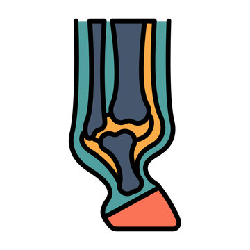 Horse Leg Hoof X-Ray Icon for Equine Veterinary
