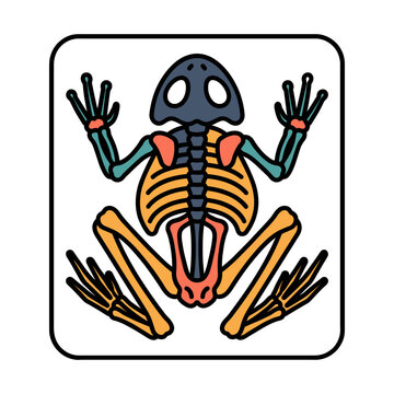 Frog Amphibian Skeleton X-Ray Icon for Zoology