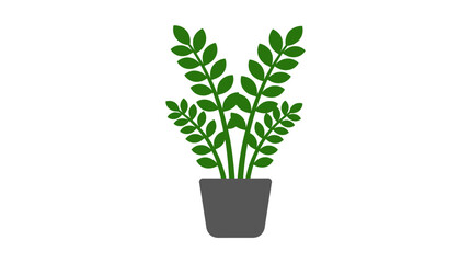 Fototapeta premium ZZ Plant Vector Illustration
