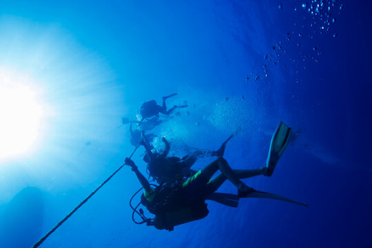 Ascending from the depths