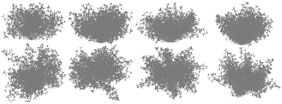 Silhouettes of shrubs in top, side, and perspective views.