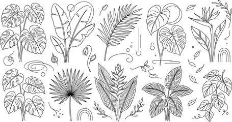 Fototapeta premium Tropical leaves line art vector illustrations set featuring monstera palm banana leaf and bird of paradise outline elements for minimalist branding cosmetic packaging textile design