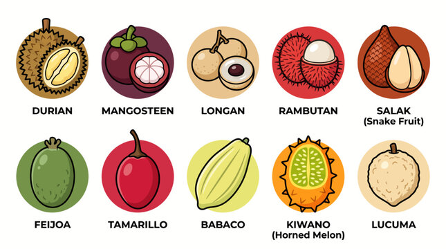 Collection of exotic tropical fruits with labels.