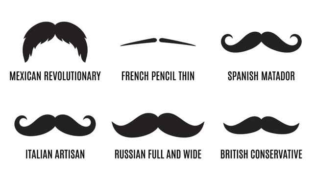 Collection of various vintage mustache styles with labels.