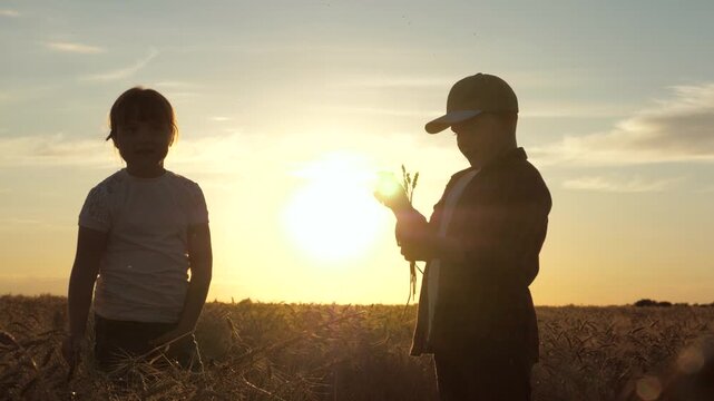 Children wheat field sunset, golden hour countryside scene, boy girl siblings enjoying nature, summer evening farm landscape, childhood memories countryside, kid exploring wheat harvest, peaceful