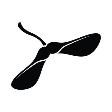 Maple seed vector black silhouette. nature element for autumn designs.