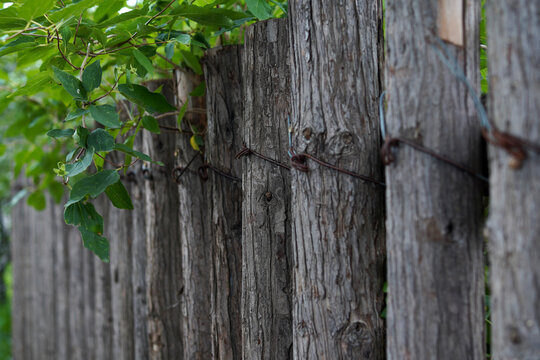 Aged wooden fence with lush green foliage and rusty wire