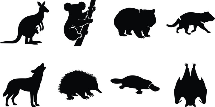 Black silhouette vector set of Australian native wildlife featuring kangaroo koala wombat dingo platypus and echidna