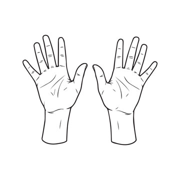 Open human palms facing up drawing in outline style isolated on white bkg.