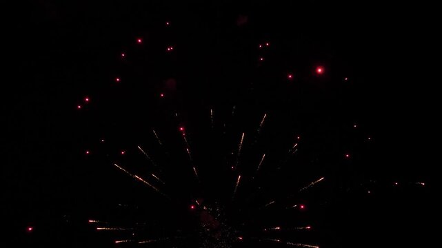 Fireworks bursts paint dark evening sky with vivid colors on holiday party. Exploding display of fireworks with flying lights in dark sky. Sparkling canopy at festive fireworks show at night