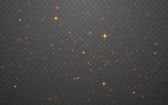 Gold glitter overlay with sparkling stars. Glowing dust on transparent background. Christmas premium design. Luxury festive light effect for celebration, holiday or wedding. Vector Illustration.