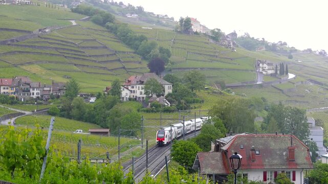 Scenic train traveling through Lavaux vineyard terraces