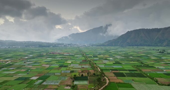 Aerial view of diverse farming fields in Sembalun Valley with a road cutting through the green patchwork, surrounded by the dramatic mountains of Lombok, Indonesia, rural landscape under a cloudy sky