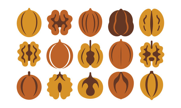 Set of fifteen nut icons including walnuts and pecans for healthy snacks.