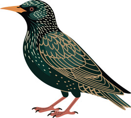 Obraz premium Starling bird cartoon animal vector on white background.