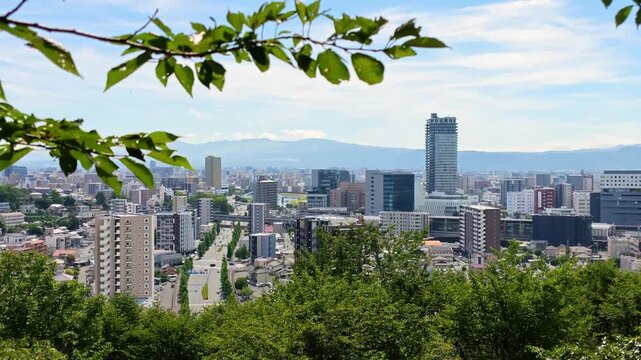 万日山から見える熊本駅周辺の街並み