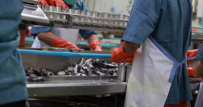 Food manufacturing industry. Worker working in canned food factory. Food industry. Canned fish factory. Worker's hand holding sardine to cutting head. Worker in food processing production line.