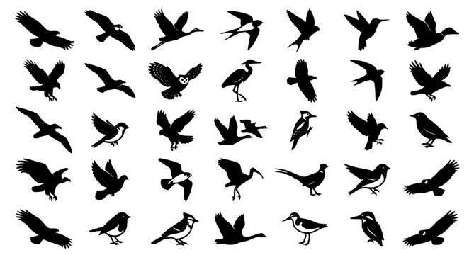 Elegant Migrating Flying Bird Silhouette Vector Collection Isolated on White Background for Logo Design Wall Art Apparel Posters Stickers and Creative Projects
