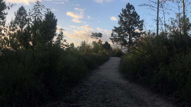 POV walking on mountain trail path at dusk into evening