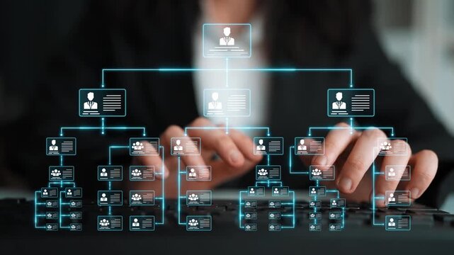 Corporate org chart and team structure show hierarchy, team, and structure for clear organization, management, and operational planning Marrow