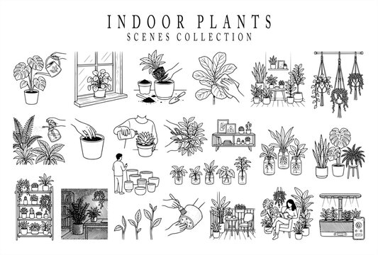 Detailed vector line art collection depicting indoor plant care scenes, including watering, repotting plants, macrame planters, propagation glass jars, shelf displays, and botanical interior decor.