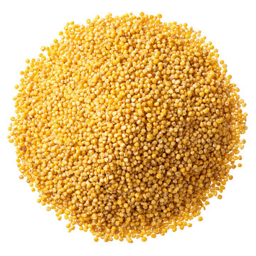 Cut out photo of a pile of millet grains. Dry cereal, food ingredient isolated on transparent background.