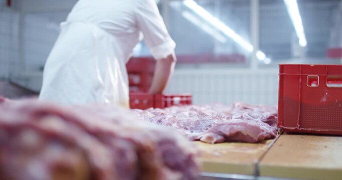 Butcher pressing raw meat flat with both hands on a work table in a meat processing plant
