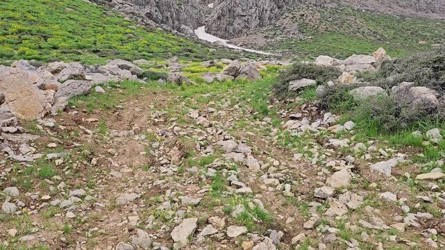 A rocky mountain path leads toward snow-capped peaks with wildflowers and green slopes on a spring day.
📍 Hawraman Takht, Kurdistan, Iran 