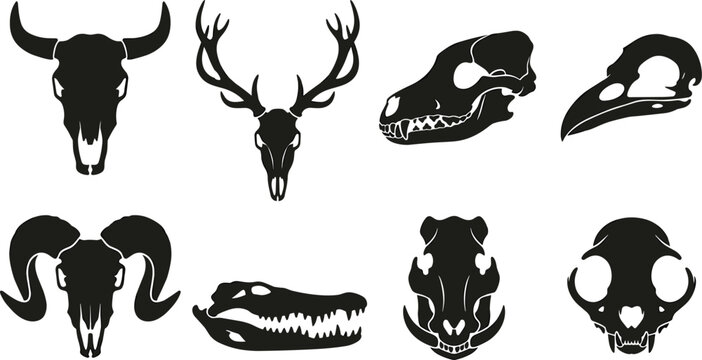 Black animal skull silhouette vector set featuring bull, deer, ram, wolf, bird and crocodile anatomy
