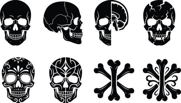 WebBlack skull and crossbones vector set featuring human anatomy, sugar skulls, and tribal tattoo designs