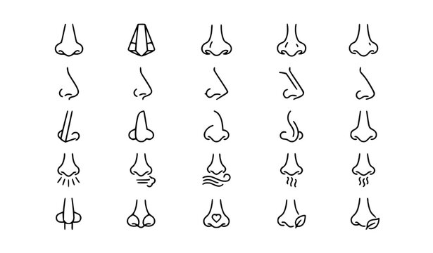 Minimal Nose Outline Icon Set Editable Stroke Black Line Logo Vector Collection