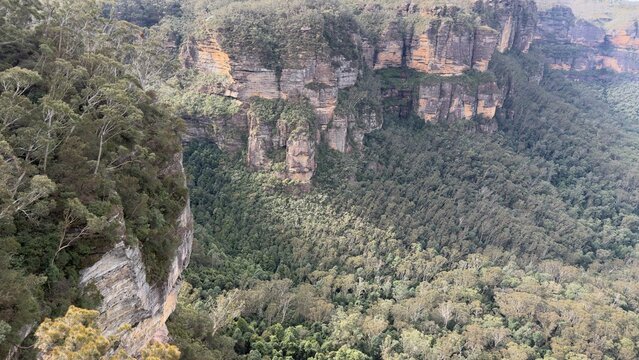 Aerial View of Steep Sandstone Cliffs and Dense Eucalyptus Forest