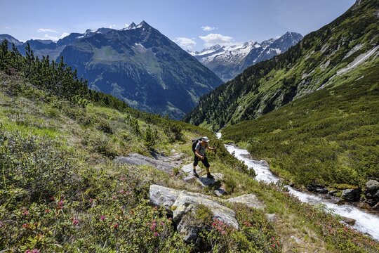 Hiker on hiking trail, Berliner H&ouml;henweg, left Gro&szlig;er Greiner, right Kleiner Hochsteller, K&auml;lberlahnerspitze and Hochsteller, Zillertaler Alps, Zillertal, Tyrol, Austria