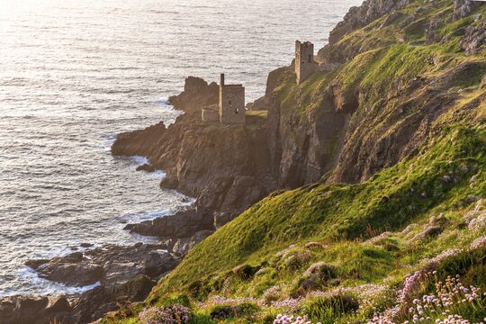 The ruins of the Crowns Engine Houses of Botallack Mine, also known as Crown Mine, on the cliffs of the Cornish coast. In the foreground, flowering sea carnations (Armeria maritima) . Evening, golden hour. Good weather, blue sky. Botallack, Penzance, Cornwall, England, Great Britain