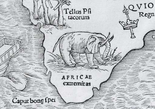 Elephant, detail, earliest printed map of the entire African continent, woodcut by Sebastian M&uuml;nster from the Cosmographia Universalis, Basel 1550, Switzerland