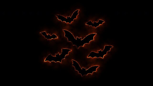 Abstract halloween bats flying with burning and glowing effect on black background animation footage.