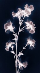 Obraz premium Ethereal floral silhouette on dark background, perfect for mobile wallpaper.
