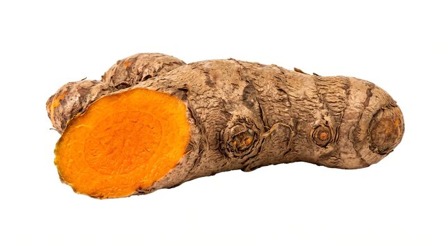 Fresh turmeric root with sliced cross section, organic orange turmeric rhizome on white background, raw ginger family spice for healthy cooking
