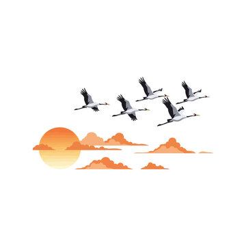 Flock of cranes flying in the sky during sunset with orange clouds, vector illustration on white background