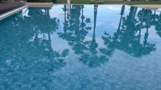 Swimming pool reflection of palm trees