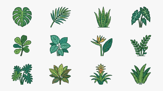 Professional of 12 Vibrant Tropical Houseplants with Detailed Green and Variegated Leaves with high quality professional line art symbols for modern creative design and digital branding projects