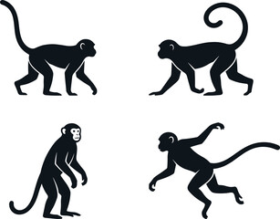 Monkey silhouette vector set featuring wild primate animals in different walking and jumping pose