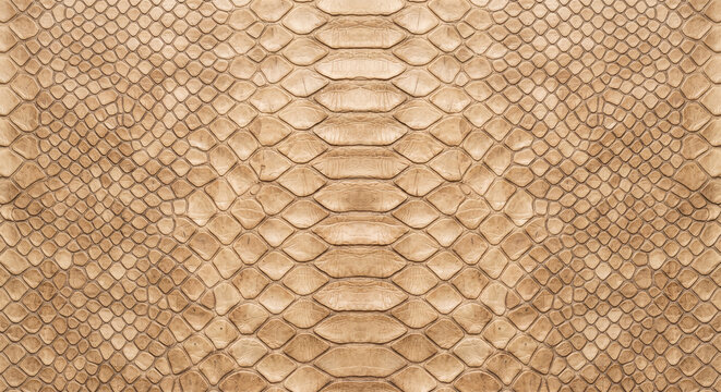 Seamless light tan snake leather skin pattern