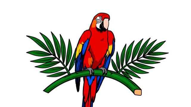 Motion graphic of a colorful macaw parrot perched on a branch with green leaves, tropical bird illustration, vibrant jungle theme