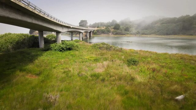 Insects flying around a bridge in the fog