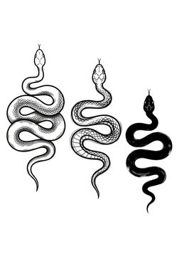 Hand Drawn Snake Tattoo Design Set - Minimalist Serpent Illustrations in Three Styles for Graphic Design and Branding