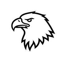 Fototapeta premium Eagle Head Outline