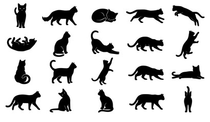 Obraz premium Collection of black cat silhouettes in various active and resting poses including walking jumping stretching and sitting isolated on white background vector icon set