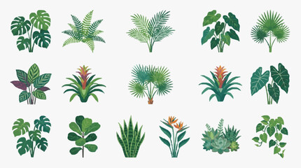 Sleek Collection of 18 Vibrant Tropical Houseplants with Lush Green Leaves and Striking Floral Accents in Modern Flat Design © Roni