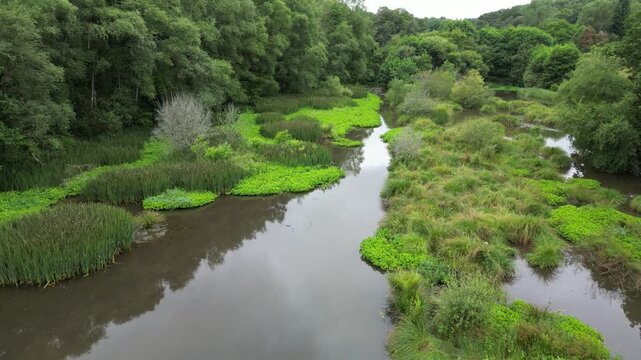 Flight over an area of vegetation and marshes - Survol d'une zone de v&eacute;g&eacute;tation et marais